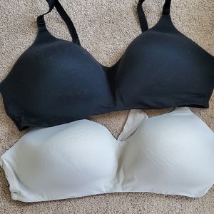 Torrid Bras